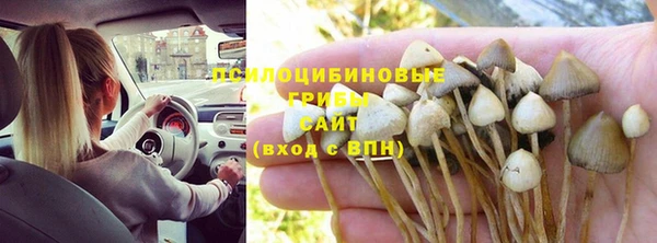 каннабис Абаза