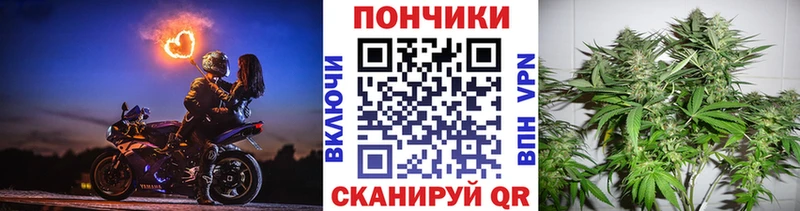 Бошки марихуана ГИДРОПОН  Разумное 